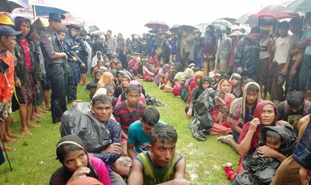 Rohingyas ashore