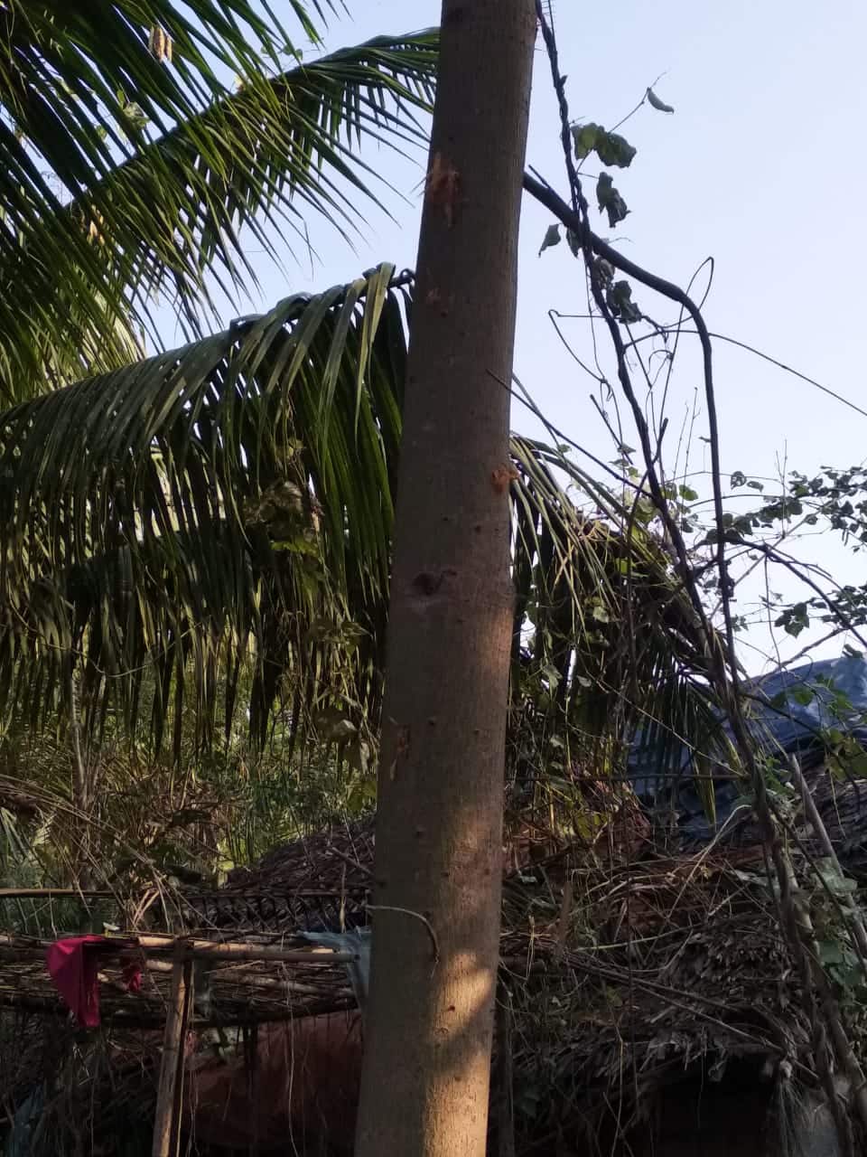 Bullets hit in Arkar Taung hamlet, Rathedaung